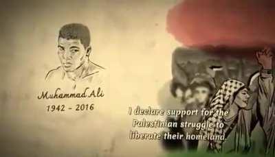 What the giants said....