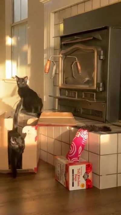 Peaceful moments never last long