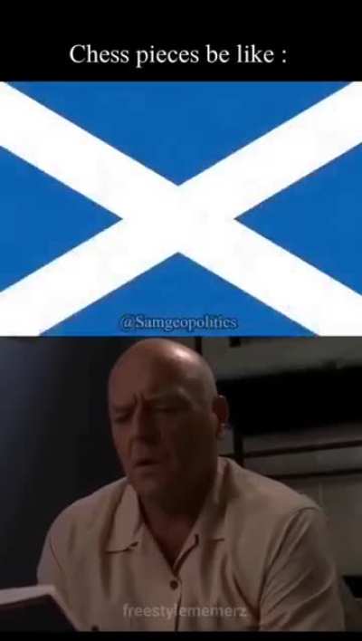 El caballo está bien raro