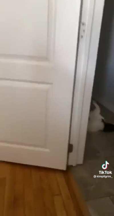 Startled of.... something,?