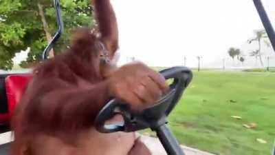 Just heading to work waiting for MOASS