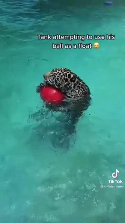 Jaguar uses a ball as a float