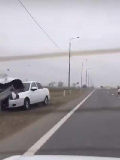 what are these people actually do?