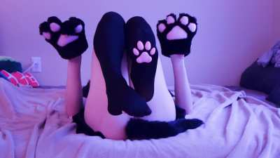 Four pretty pink paws for your feed 💕