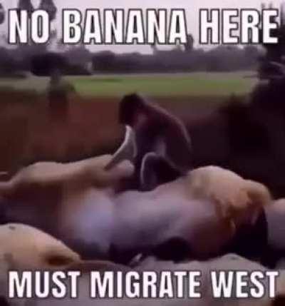 funy0001111@gmail.com