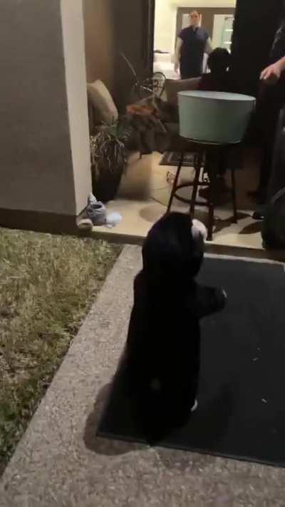 Thriller first. Bucket later.