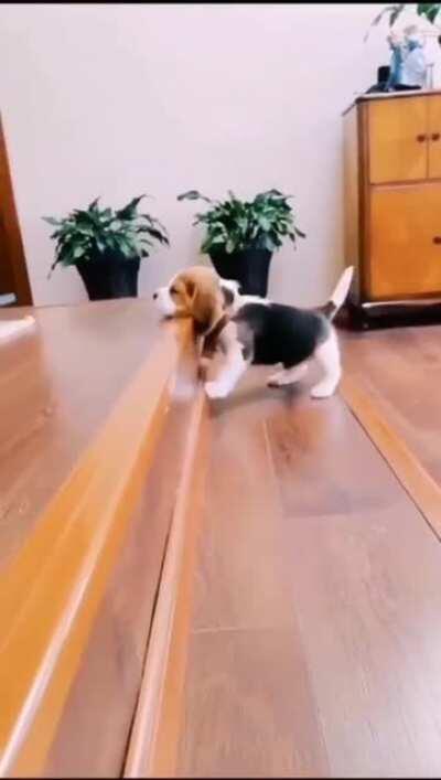 The struggle is real