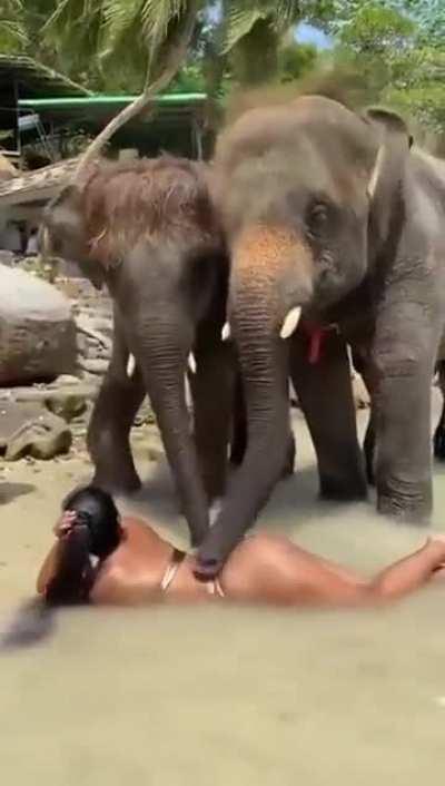 Puttin’ that trunk in her trunk