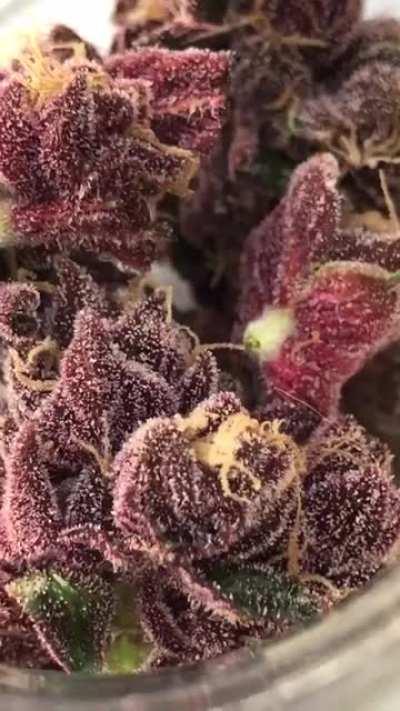 If you were given the chance what would you name this beauty?