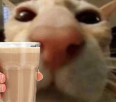 Kat wants to give you something