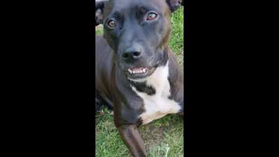 Maple does this every time she tastes something new or interesting.