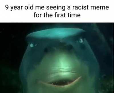 The beginning of an era