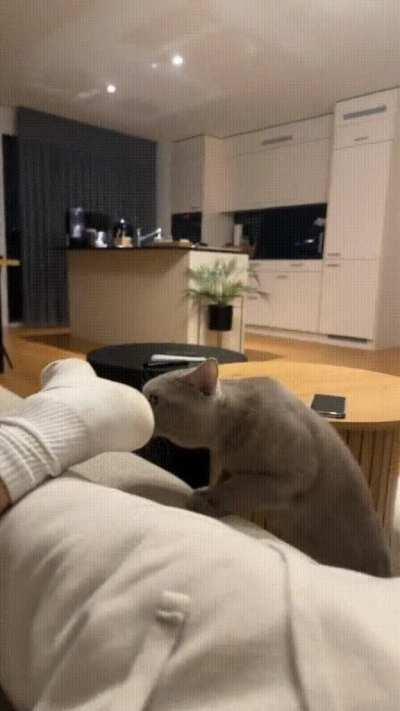 When you remember that smell, but you don't understand where it came from 😂