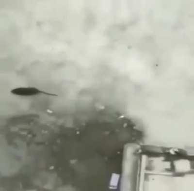 You could make a religion out of this