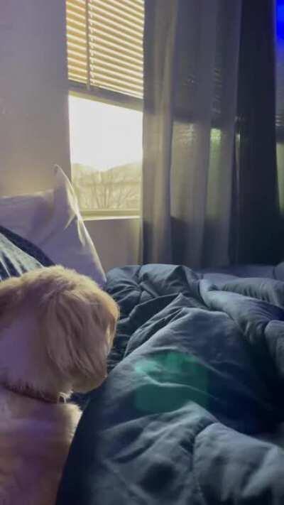 It never rains here in Idaho, but when it does I just look out my window.