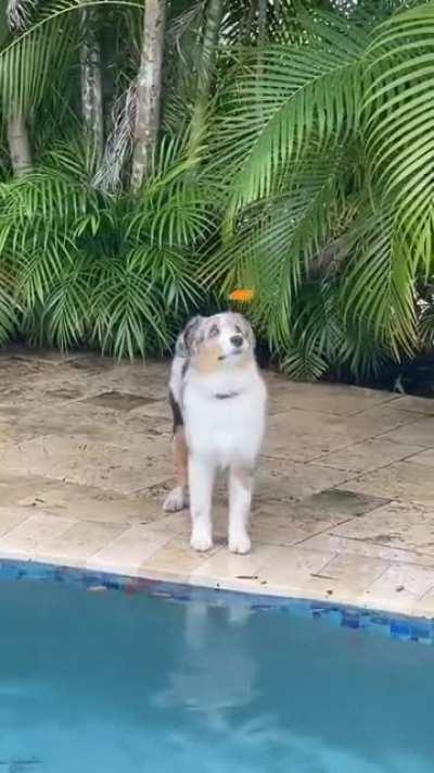 Basically a Disney Princess