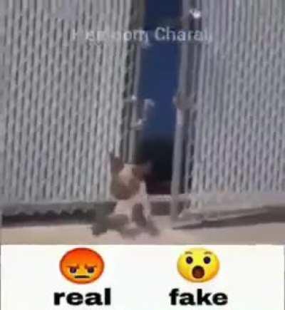 Umm I think fake 😎