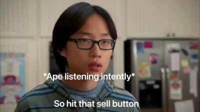 Live footage of Hedgies talking to an ape