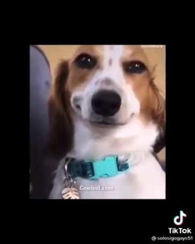 Blijf kijken t/m het einde😂🤣