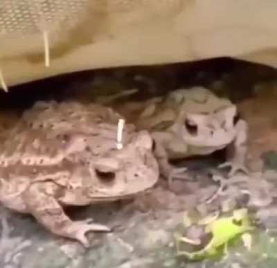 Don't taste everything you see!😅