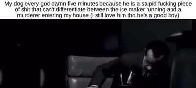 Calm down boy it’s just the storm