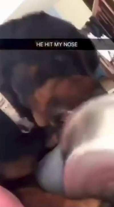 WHERE IS MY DINNER?!