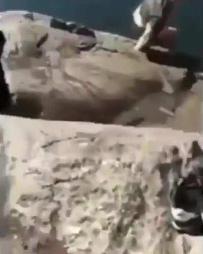 Jump in this river !