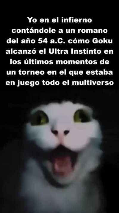 Yo contándole a mi abuelita en el cielo como Mazinger z se hace jigante y dorado para derrotar a Mazinger infiniti