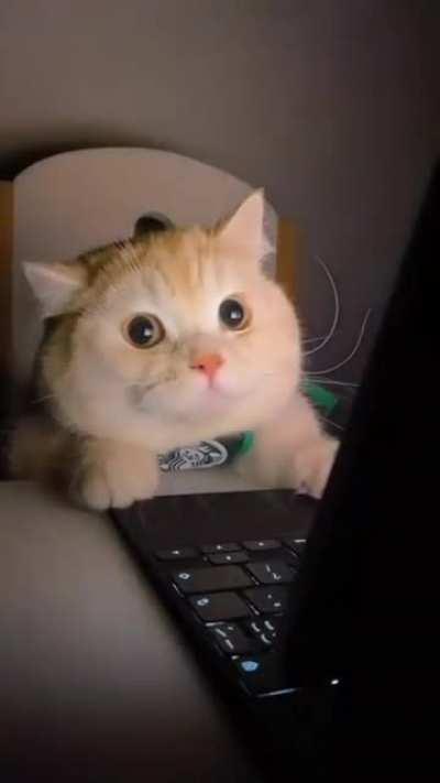 Aww emotions😱😱😱