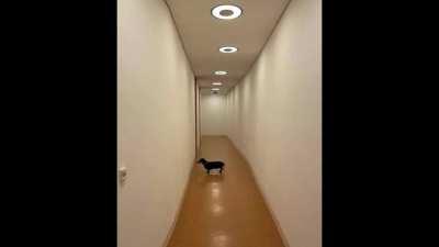 What is he doing in there????