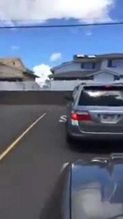 Unhinged Karen snaps after getting cut off in traffic...