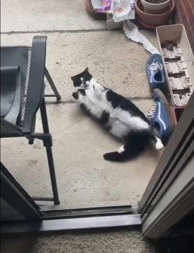 Let me out, I want to lie at the entrance