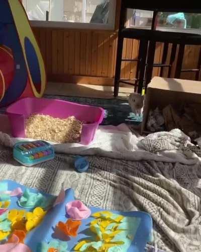 This must be new world record time