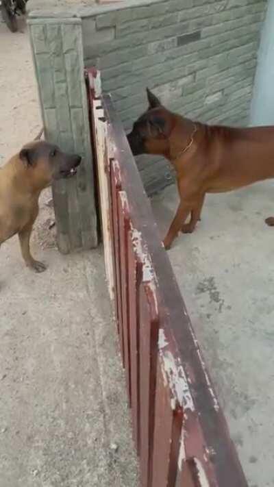 Wanna fight bro? Wanna fight??