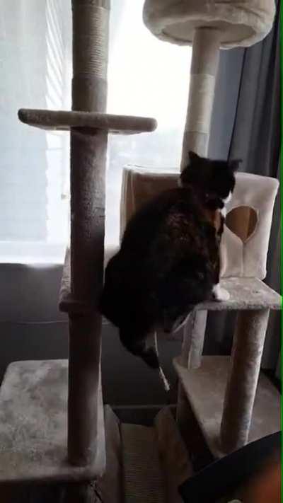 HMC while I&mdash; nevermind!