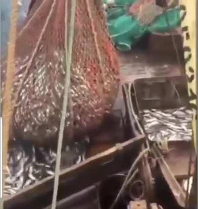 Just a fella trying to enjoy his lunch....