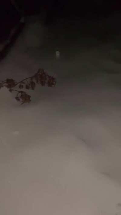 I know I'm too late but hear me out PLZZ. The shoe sliding away would make for a good template.