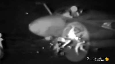 HMFT after walking in front of a Fighter Jet Engine