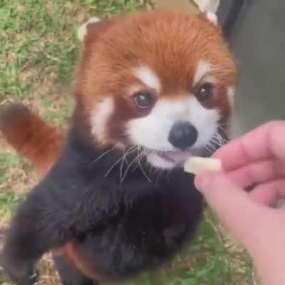 Jeannie getting her snackos from Henry after a long day of filming 