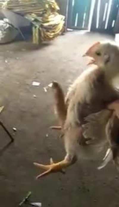 it's bigger than mine :(