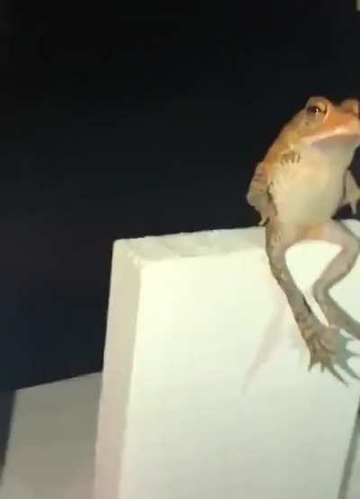 dude was just reflecting on life