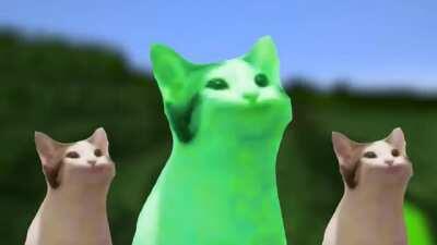 PopCat sings without audio because no audio