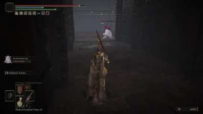 Sometimes i like to give my summon his own fights while i watch him fight.