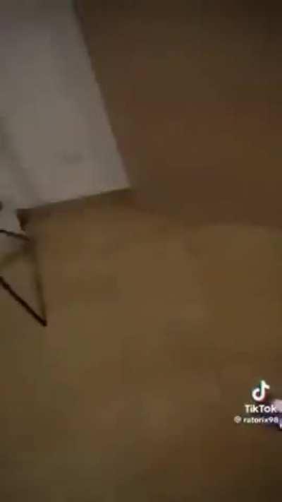 Esto lo tiene que ver el vilches1 🚬🗿