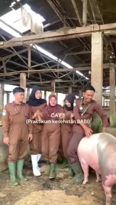 Indonesia syncreticsm is out of ✋✋... certified halal