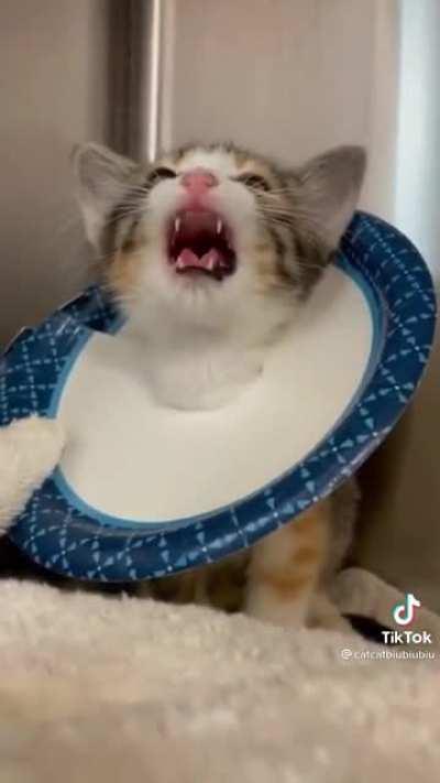 No talk me I’m angy