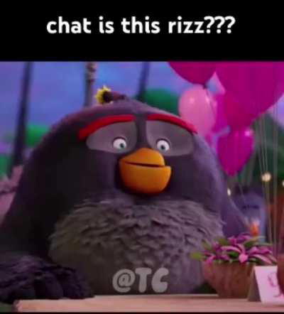 Chat! is this rizz?
