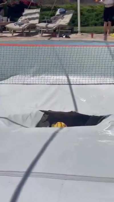 My pool floaties people need me