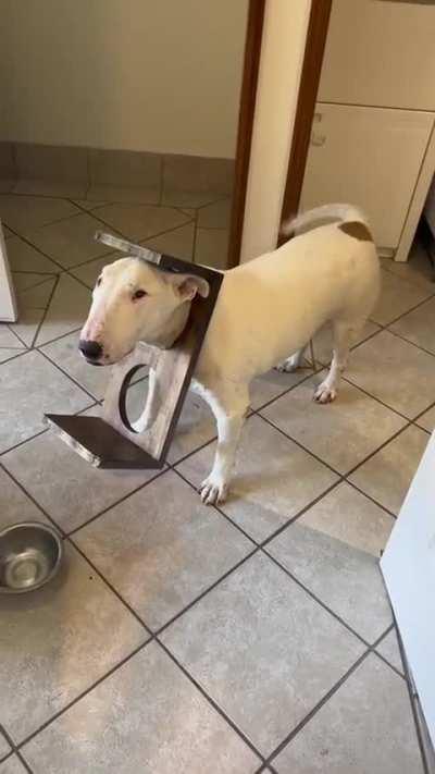 Oh my god, how could it be..