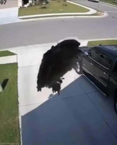 yes........................